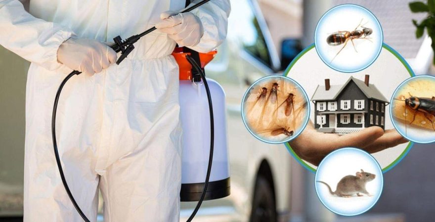 Melikgazi Böcek İlaçlama