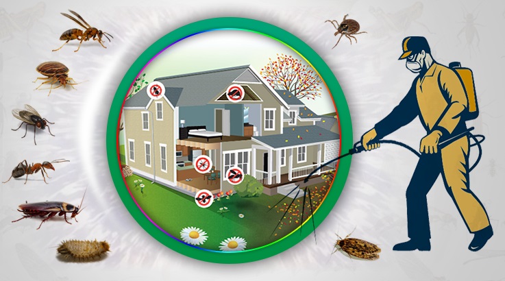 Melikgazi Böcek İlaçlama