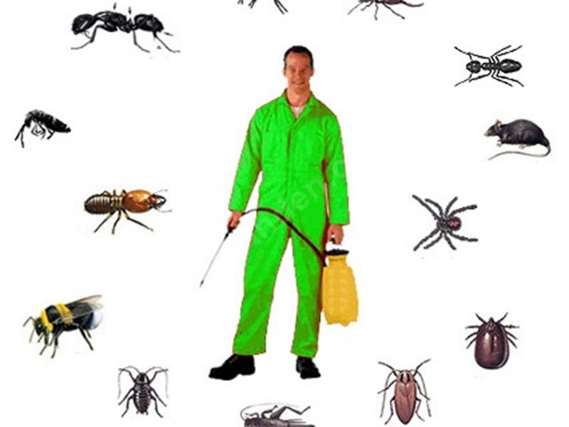 Melikgazi Böcek İlaçlama